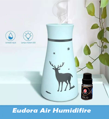 Air Humidifier