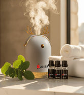 Eudora aroma diffuser humidifier with essential oils set for spa and relaxation