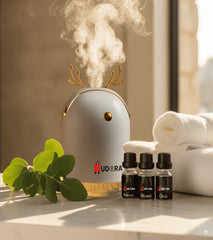 Eudora aroma diffuser humidifier with essential oils set for spa and relaxation